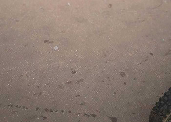 Casal trafegava em uma motocicleta (Foto: Cedida)