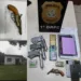 Policia Civil cumpre mandados de busca e apreensão contra investigados por furto de gado em Rio Branco