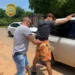 Polícia Civil prende jovem de 18 anos acusado de receptar cinco novilhos furtados em Feijó