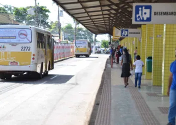 Prefeitura vai implantar internet gratuita no Terminal, Horto Florestal e Parque Chico Mendes
