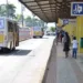 Prefeitura vai implantar internet gratuita no Terminal, Horto Florestal e Parque Chico Mendes