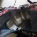 drogas PRFAC