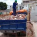 Agentes técnicos atuam no recolhimento dos entulhos que serão reaproveitados em obras (Foto: Ascom/Deracre)