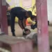 Jovem é morto a pauladas em parada de ônibus na capital acreana