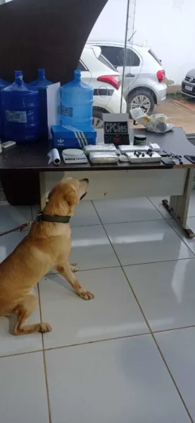 Casal é preso com mais de quatro quilos de entorpecentes no Alto Alegre, em Rio Branco