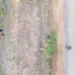 prisão drone PM