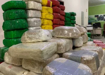 Jovem de 21 anos é preso com mais de 100kg de pasta à base de cocaína, na BR-364