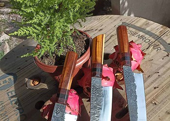 (Foto: Dell Pinheiro)