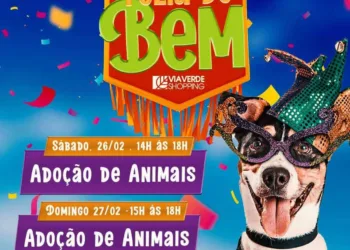 Ação de Carnaval do Via Verde Shopping terá feira de adoção de animais, vacinação e coleta sanguínea