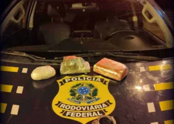 Após revista em ônibus, homem é preso com drogas na BR 364