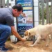 Roberto Duarte apresenta PL que proíbe nomeação de condenados por maus-tratos a animais na administração pública 