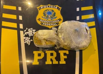 droga ônibus prf