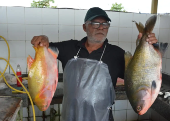 feira do peixe