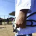 Curso de medicina com nota baixa pode ter corte de vaga ou extinção