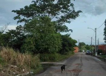 água esgotos rui lino 3