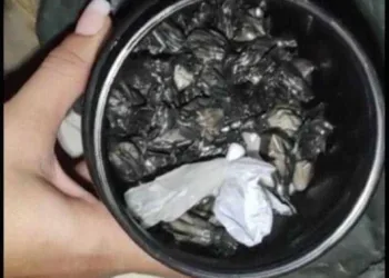 Mulher e dois homens são presos em flagrante por tráfico de drogas no Bairro Nova Esperança