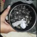 Mulher e dois homens são presos em flagrante por tráfico de drogas no Bairro Nova Esperança