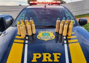 prf pasta base cocaína