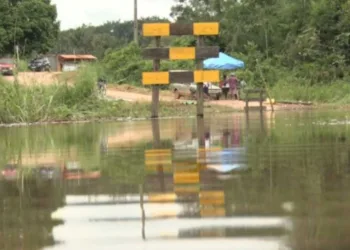 Na capital, cheia do Rio Acre atinge 40% da produção no Ramal do Panorama