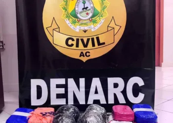 Polícia Civil apreende carro em guincho com 21 quilos de drogas na BR-317