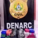 Polícia Civil apreende carro em guincho com 21 quilos de drogas na BR-317
