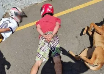 Cão deita ao lado de suspeitos durante abordagem policial no Paraná e foto viraliza