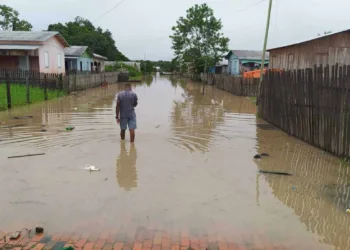 Rio Envira ultrapassa cota de transbordamento em Feijó e atinge mais de 1,1 mil pessoas