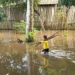 Prefeitura de Santa Rosa decreta situação emergência pela cheia do rio Purus