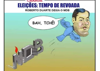 Eleições: tempo de revoada