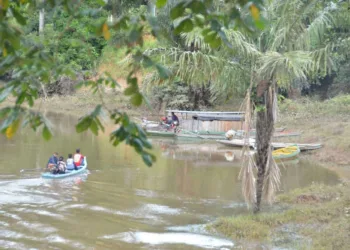 ONG internacional reúne voluntários para retirada de lixo de terra indígena no Acre
