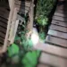 Homem é perseguido e morto a tiros no bairro Vila Betel