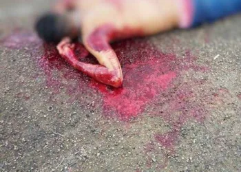 Jovem é assassinado com tiros nas costas, em rua de Sena Madureira