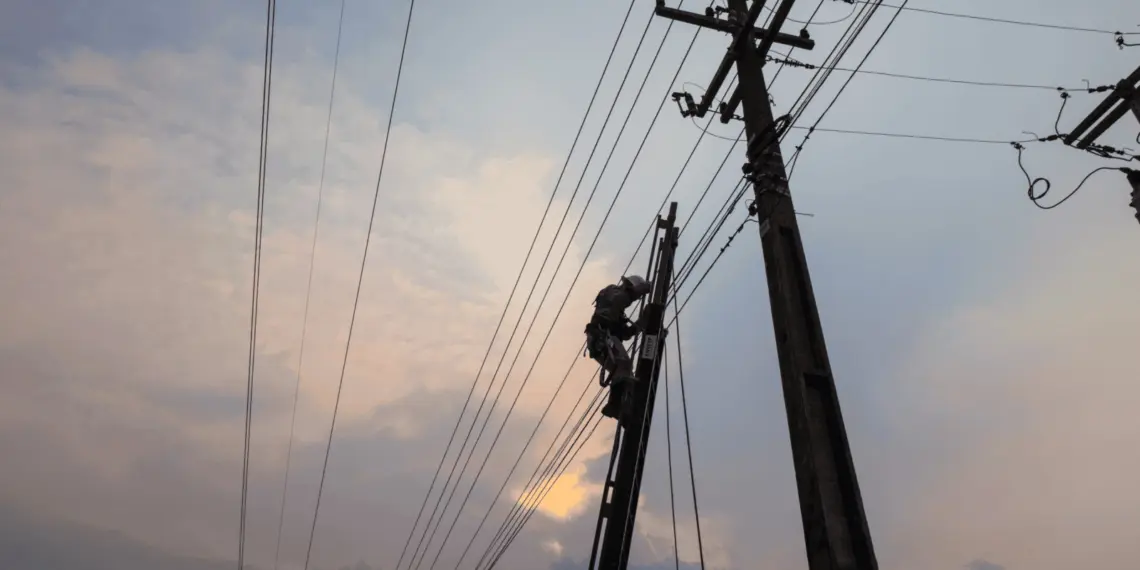 Interferência externa na rede elétrica deixou mais de 25 mil clientes sem energia em 2021 1 Interferência externa na rede elétrica deixou mais de 25 mil clientes sem energia em 2021