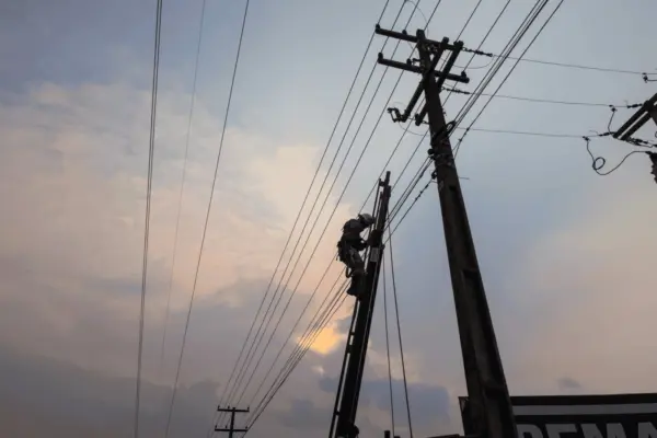 Interferência externa na rede elétrica deixou mais de 25 mil clientes sem energia em 2021 2 Interferência externa na rede elétrica deixou mais de 25 mil clientes sem energia em 2021