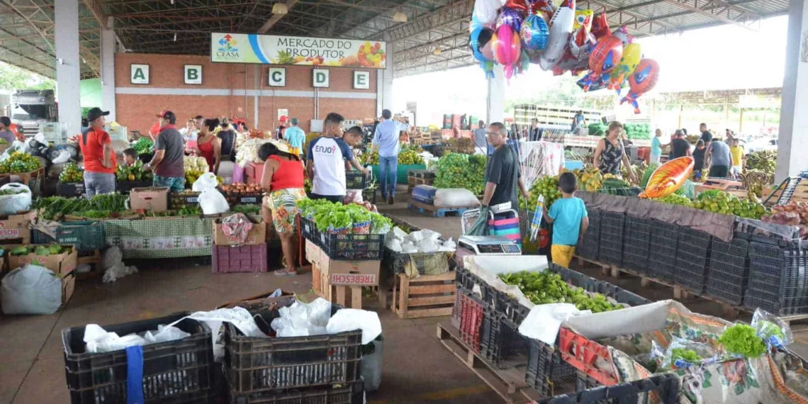 Alface, batata, cenoura e cebola estão mais baratos nos principais mercados atacadistas