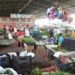 Alface, batata, cenoura e cebola estão mais baratos nos principais mercados atacadistas