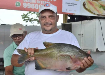Após dois anos, Feira do Peixe é realizada na Capital, com expectativa de movimentar R$ 3,5 milhões