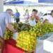 Preço de frutas e verduras apresenta alta no atacado em Rio Branco, diz Conab