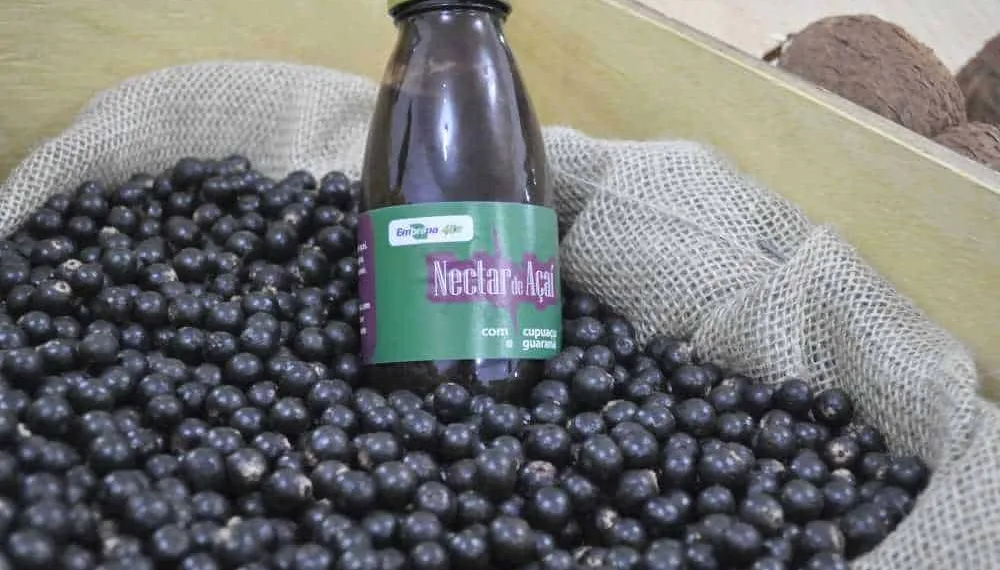 Produtos amazônicos à base de açaí e castanha-do-brasil são apresentados em Feira Internacional