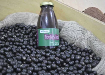 Produtos amazônicos à base de açaí e castanha-do-brasil são apresentados em Feira Internacional