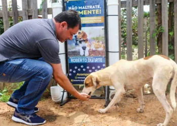 Projeto de Lei de Roberto Duarte que combate a crueldade animal é aprovado na Aleac