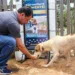 Projeto de Lei de Roberto Duarte que combate a crueldade animal é aprovado na Aleac