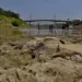 'Mais uma seca severa prevista para esta parte da Amazônia. O que fazer?'