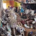 Em Rio Branco, 'sucatões' são alvo de fiscalização do Fundeseg 