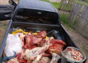 Polícia Civil prende quadrilha por furto de gado em Tarauacá