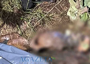Moradores encontram cadáver em matagal e polícia trabalha para identificar vítima