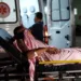 Jovem é baleado no portão de casa, no bairro Boa União
