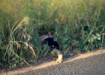 Homem é encontrado morto com marcas de tiros e mãos amarradas às margens da estrada Transacreana