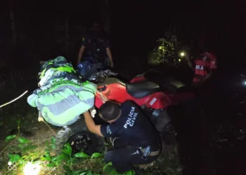 Após denúncias, polícia encontra corpo de homem degolado e enterrado em cova rasa na floresta