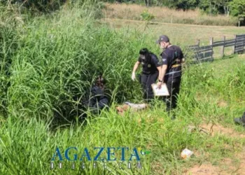 Acre registra aumento de 18% no número de mortes no trânsito